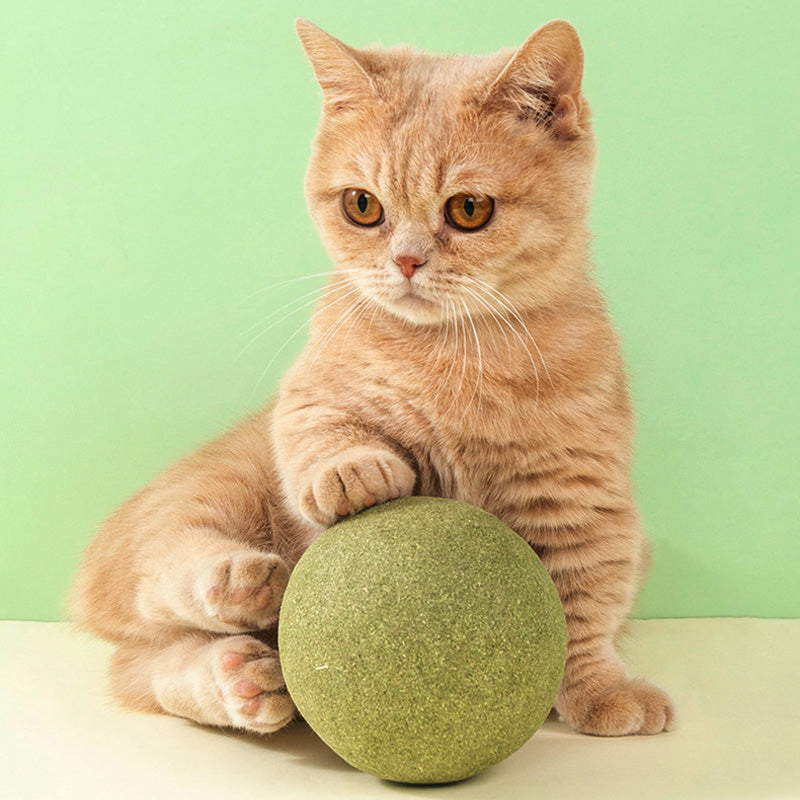 Giant Catnip Ball | Spraw, by Twój kot ją pokochał!