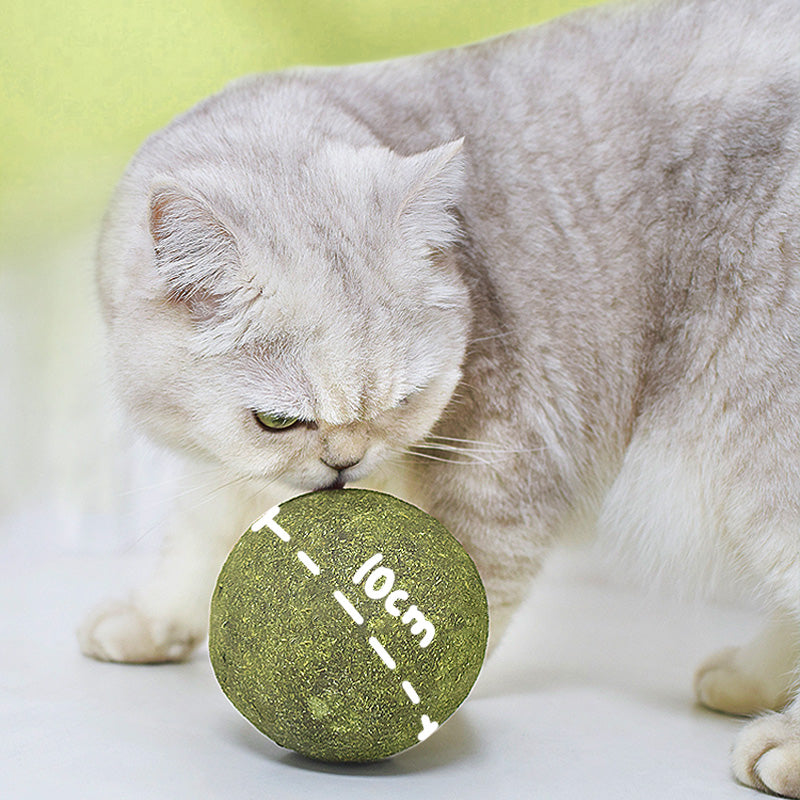 Giant Catnip Ball | Spraw, by Twój kot ją pokochał!